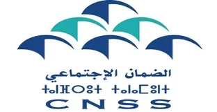 cnss-clean